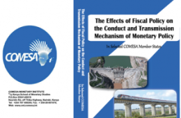 Effects-of-Fiscal-Policy-Cover-300x218