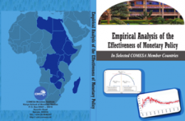 Empirical-Analysis-of-the-Effectiveness-300x203