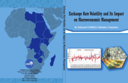 Exchange-Rate-Volatility-Cover-2-300x203